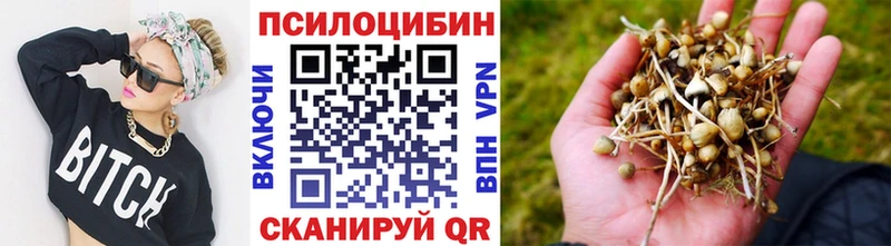 где купить наркоту  Десногорск  MEGA вход  Псилоцибиновые грибы MAGIC MUSHROOMS 